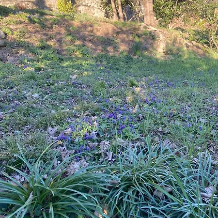 La Cigale Ardechoise Hébergement de vacances
